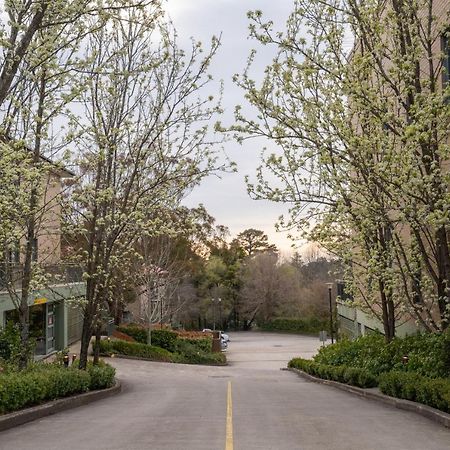 Leisure Inn Spires Leura Dış mekan fotoğraf